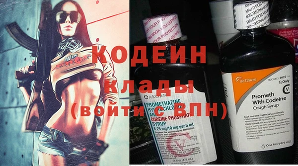 СК Няндома