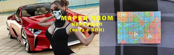 ешки Новозыбков